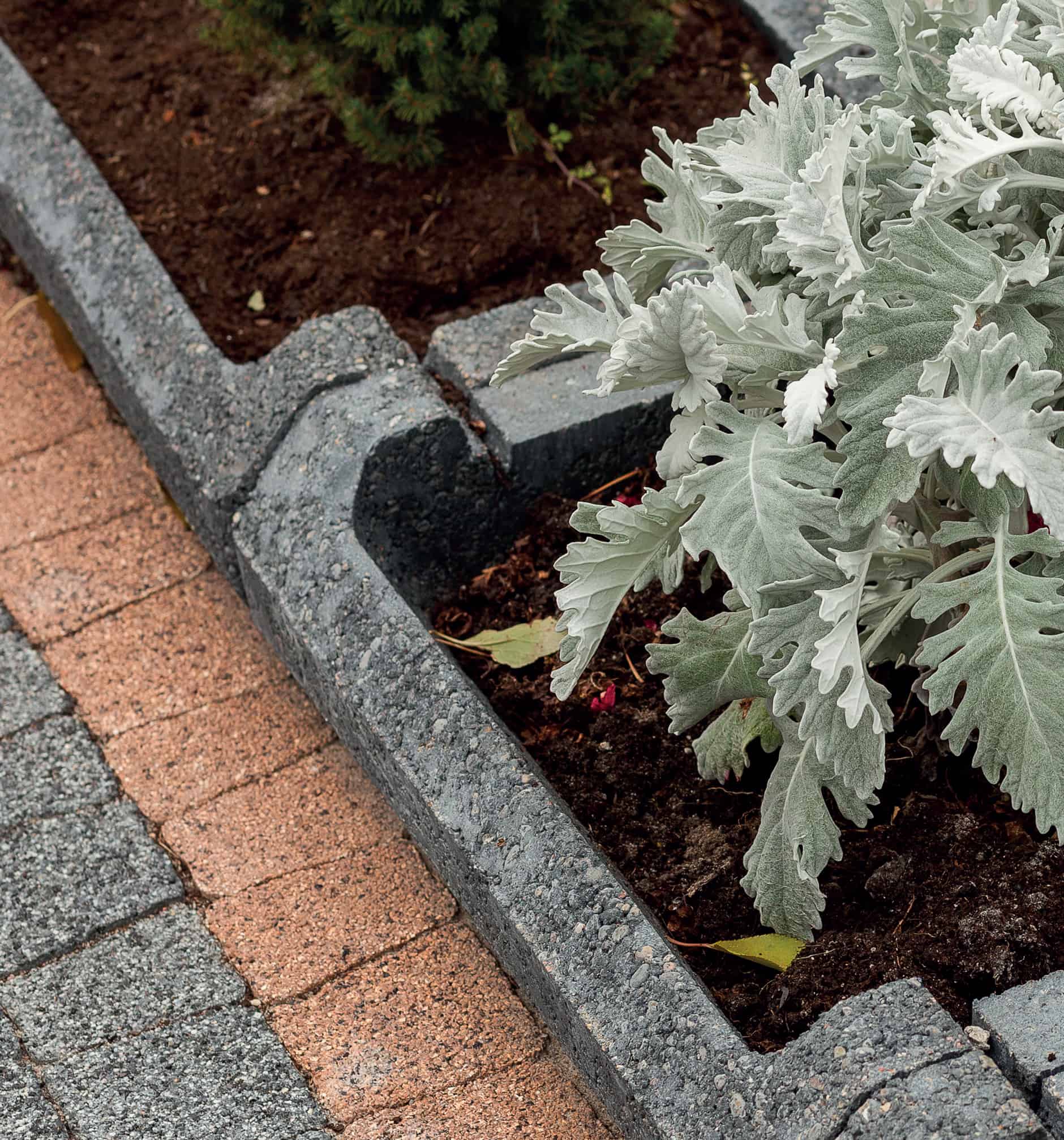 VERDURO CONCRETE PLANTERS